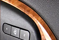 3D Molded Veneer